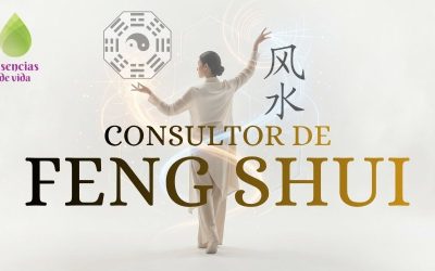 CONSULTOR DE FENG SHUI ESENCIAS DE VIDA CONSULTOR DE FENG SHUI