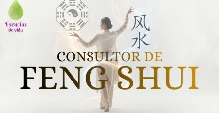 CONSULTOR DE FENG SHUI ESENCIAS DE VIDA CONSULTOR DE FENG SHUI ESENCIAS DE VIDA