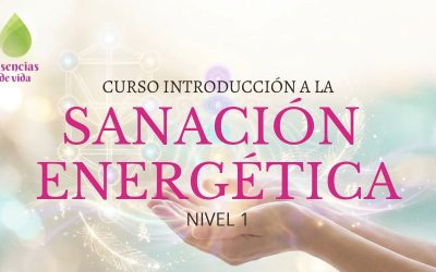 miniatura del curso