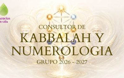 CONSULTOR DE CÁBALA Y NUMEROLOGÍA GRUPO 2026/2027