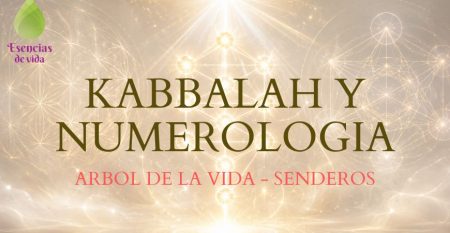 ESCUELA DE KABBALAH ESENCIAS DE VIDA – ARBOL DE LA VIDA(2) ESCUELA DE KABBALAH ESENCIAS DE VIDA – ARBOL DE LA VIDA(2)