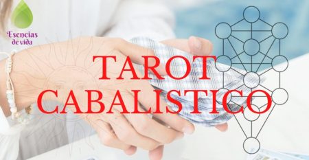 DISEÑO CURSOS WEB(3)