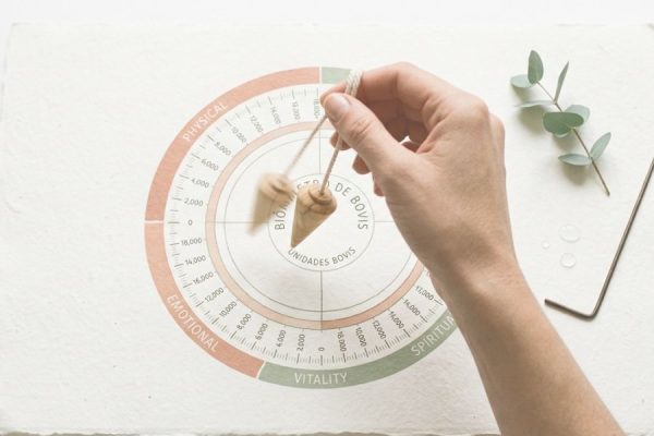Feng shui esencias de vida(2)
